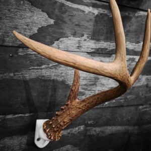 Deer Antler Wall Mount Bracket